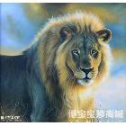郑建华 狮子 类别: 动物油画